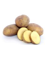 25 kilo Agria 28/35