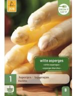 Asperges Backlim