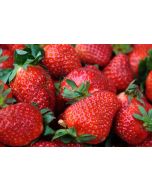 Aardbeien Ostara