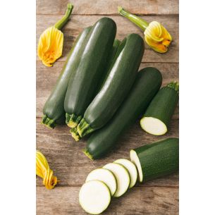 Courgette Black Beauty