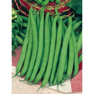 Stamslabonen Montano Modesto 100 gr