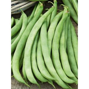 Stamslabonen Dubbele witte 100 gr