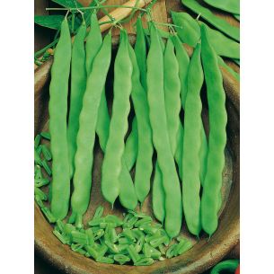 Stoksnijbonen Helda 100 gr