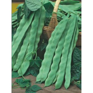 Stoksnijbonen Algarve 50 gr