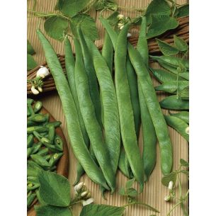 Pronkbonen Emergo 100 gr