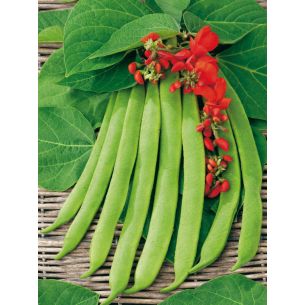 Pronkbonen Prijswinner 100 gr