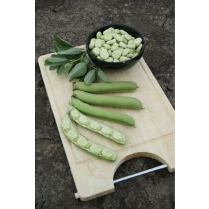 Tuinbonen De Monica 100 gr