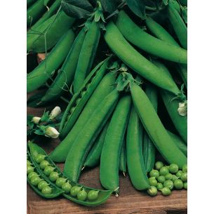 Doperwten Vada 100 gr