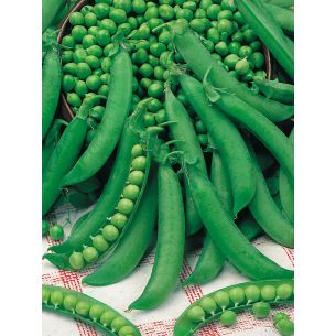 Doperwten Marktveroveraar 100 gr
