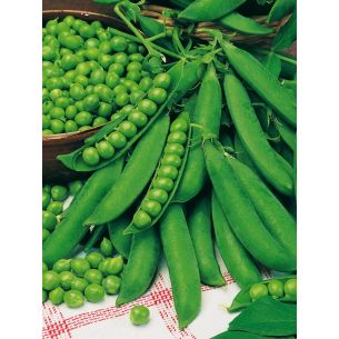 Doperwten Eminent 100 gr