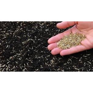 15 kg Speelgazon Topgreen