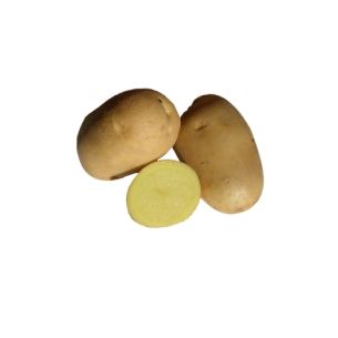 2,5 kg Primura AM 28/35   