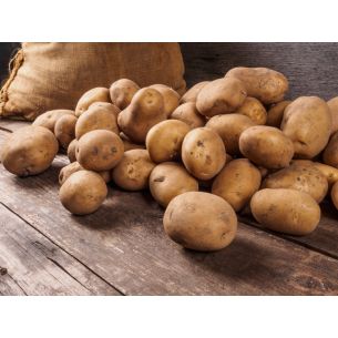 2,5 kg Frieslander AM 28/40