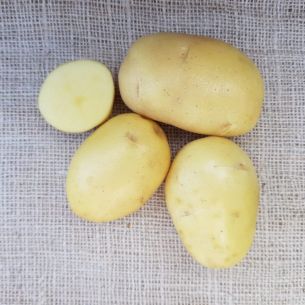 2,5 kg Vitabella 30/40