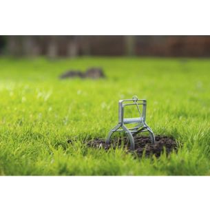 Mollen / Woelrattenklem