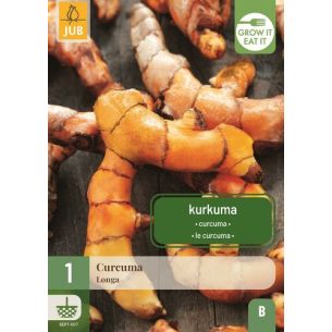 Curcuma Longa