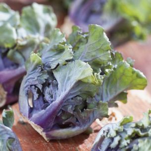 Kalettes / Flower Sprouts