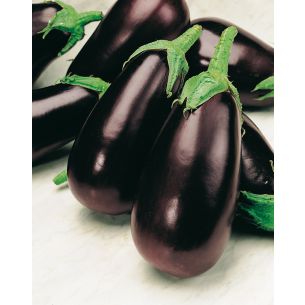 Aubergines Halflange Violetta Lunga 