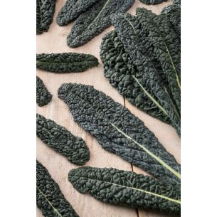 Palmkool Nero di Toscane