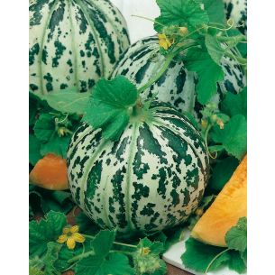 Meloenen Oranje Ananas