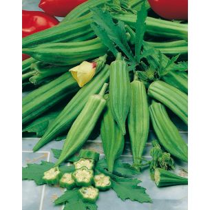 Okra Clemson Spineless