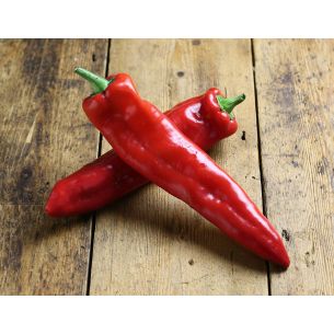 Punt Paprika Medrano F1