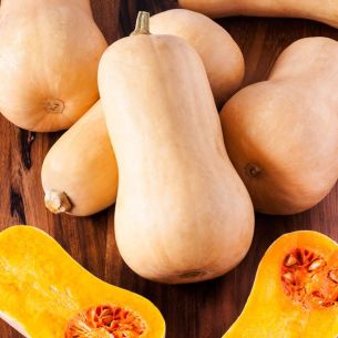 Pompoenen Waltham Butternut