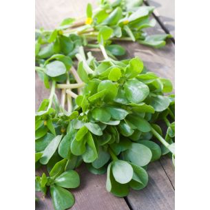 Postelein Groene 100 gram