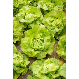 Kropsla Justine