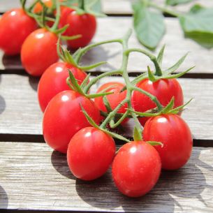 Tomaten Romello F1 dadel/pruimtomaat