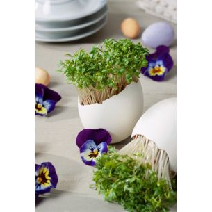 Tuinkers gewone