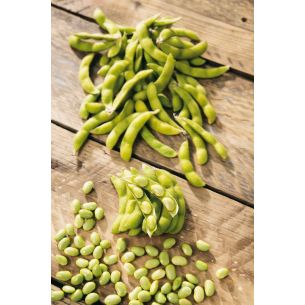 Sojabonen Edamame Green Shell